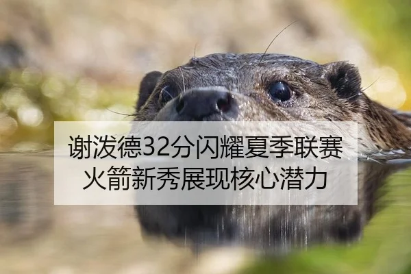 谢泼德32分闪耀夏季联赛 火箭新秀展现核心潜力