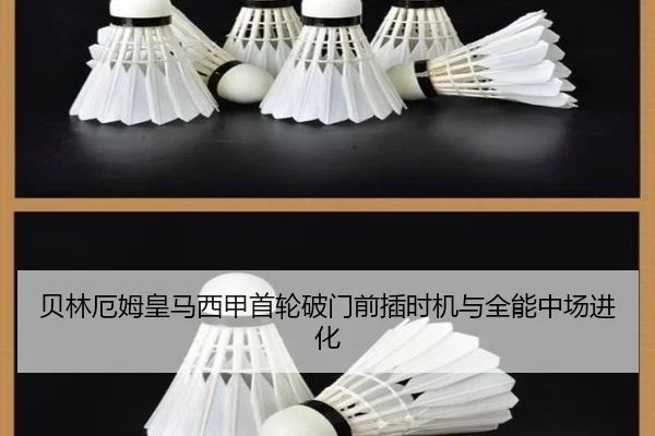 bei-lin-e-mu-huang-ma-xi-jia-shou-lun-po-men-qian-cha-shi-ji-yu-quan-neng-zhong-chang-jin-hua-2-758.jpg